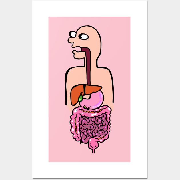 Colorful Illustration of the Digestive System - Med School Anatomy Physiology Wall Art by ckrickett